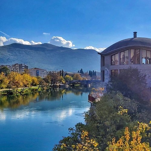 Services tourist organization